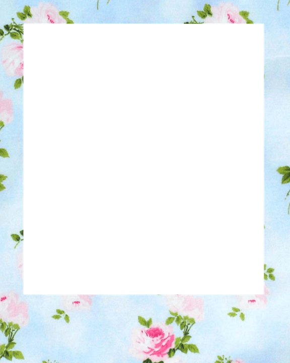 Polariod PNG