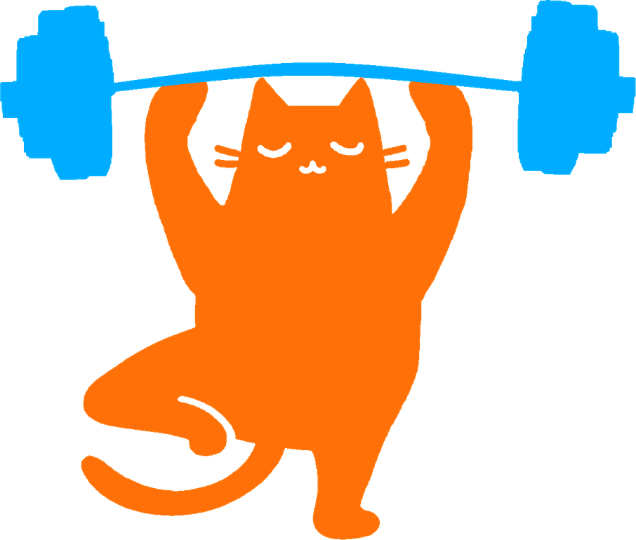 Gym Cat PNG