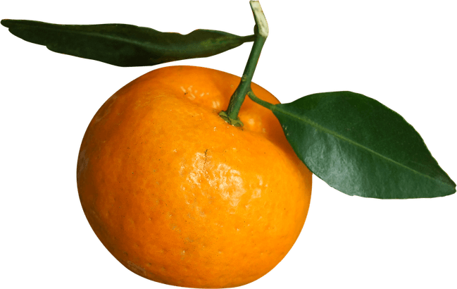 Tanbarin PNG