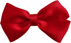 Hair Bow PNG