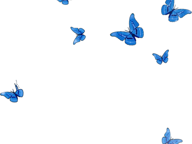 Ai Butterfly PNG