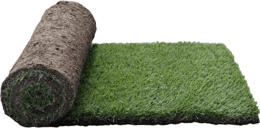 Buffalo Grass PNG