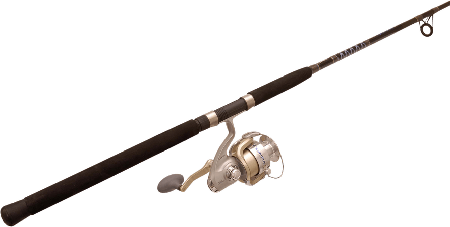 Fishing Pole PNG
