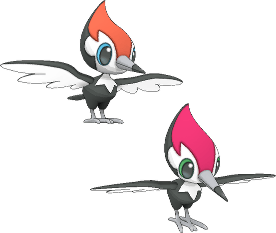 Pikipek Pokemon PNG