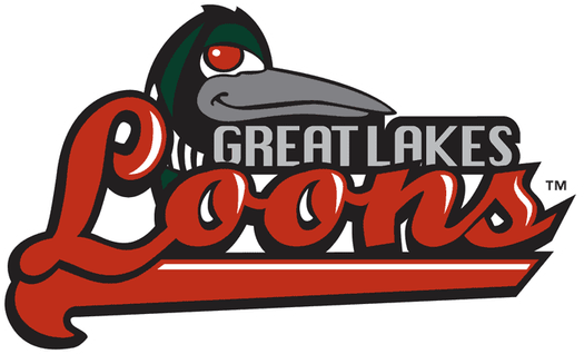 Great Lakes Loons PNG