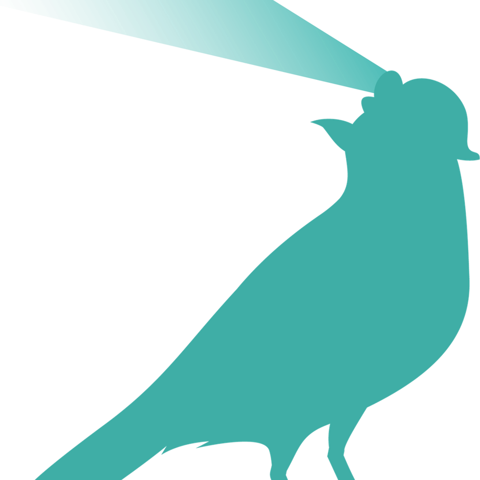 Poisonous Bird PNG