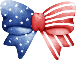 Little American Flag PNG