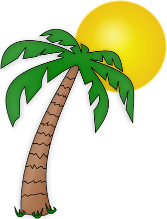 Palm Tree Cartoon PNG