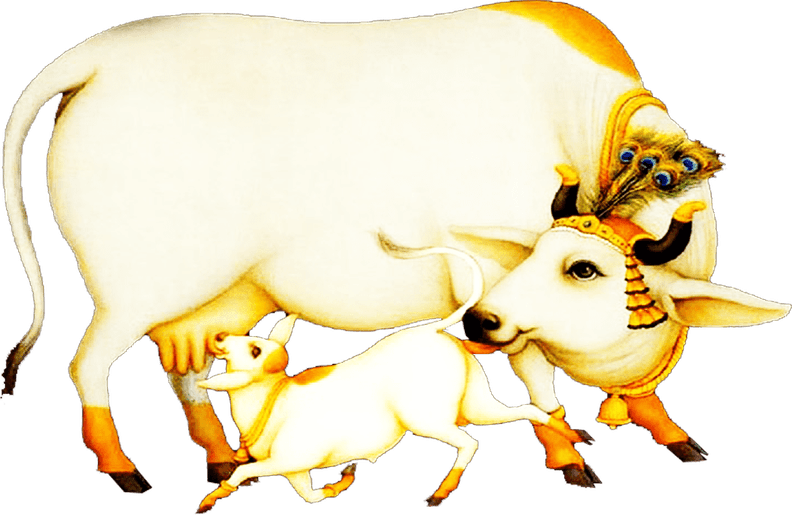Indian Cow PNG