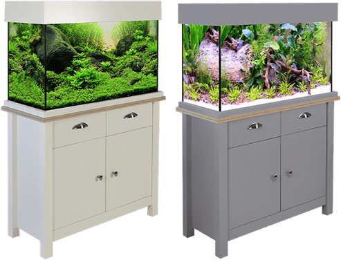 Fish Tank PNG