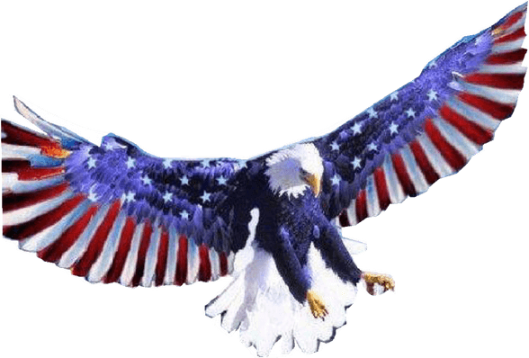 Patriotic Eagle PNG