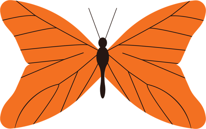 Orange Butterfly PNG