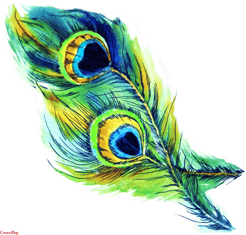 Peacock Feather PNG