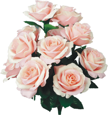 Beige Rose PNG