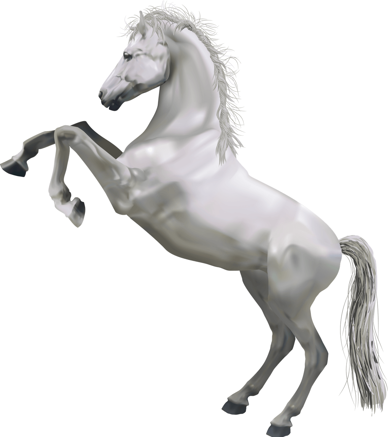 Morgan Horse PNG