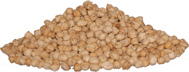 Garbanzo Beans PNG