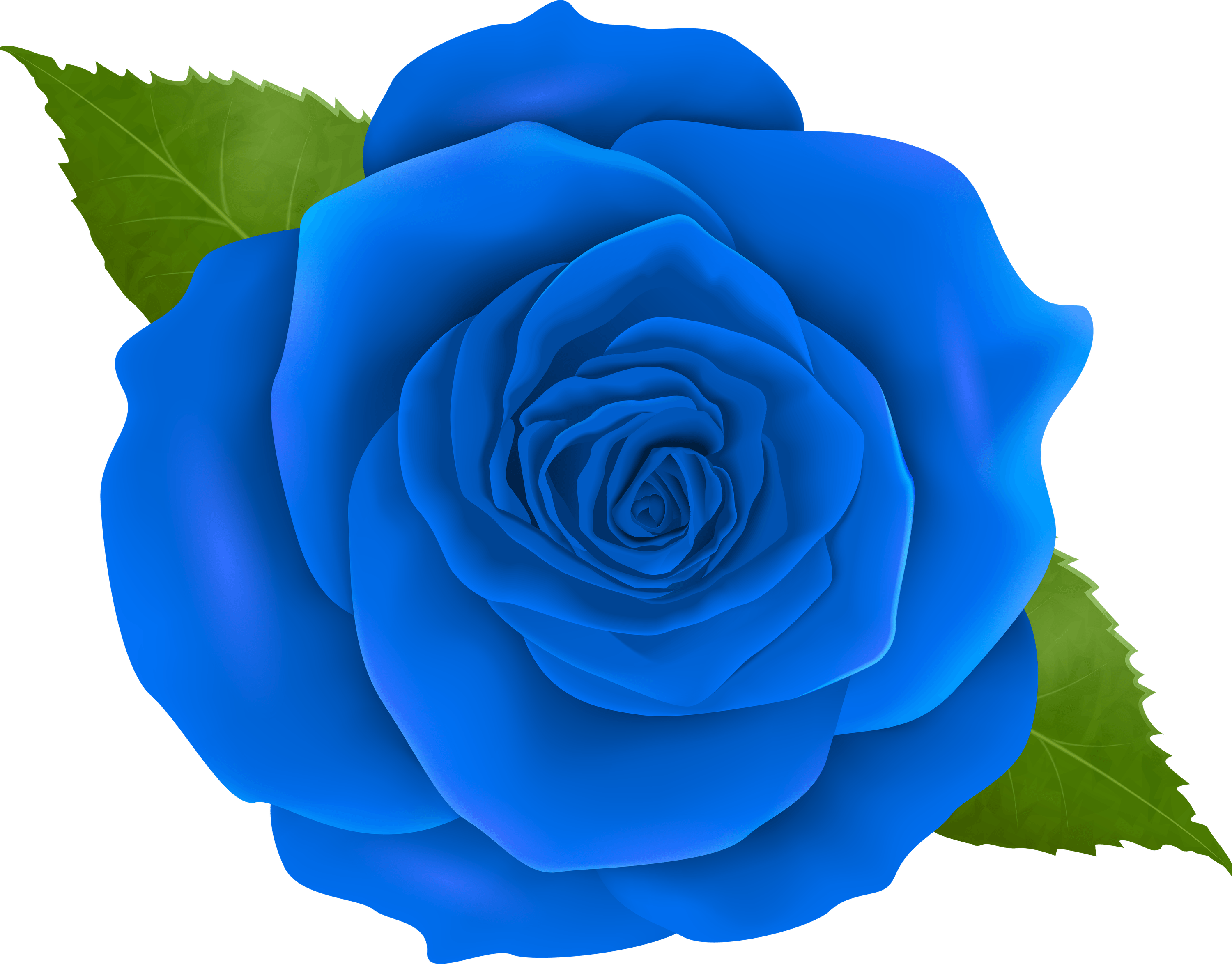 Blue Rose PNG