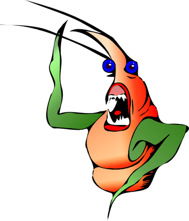 Cricket Insect PNG