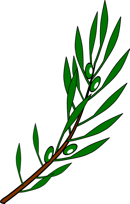 Olive Branch PNG