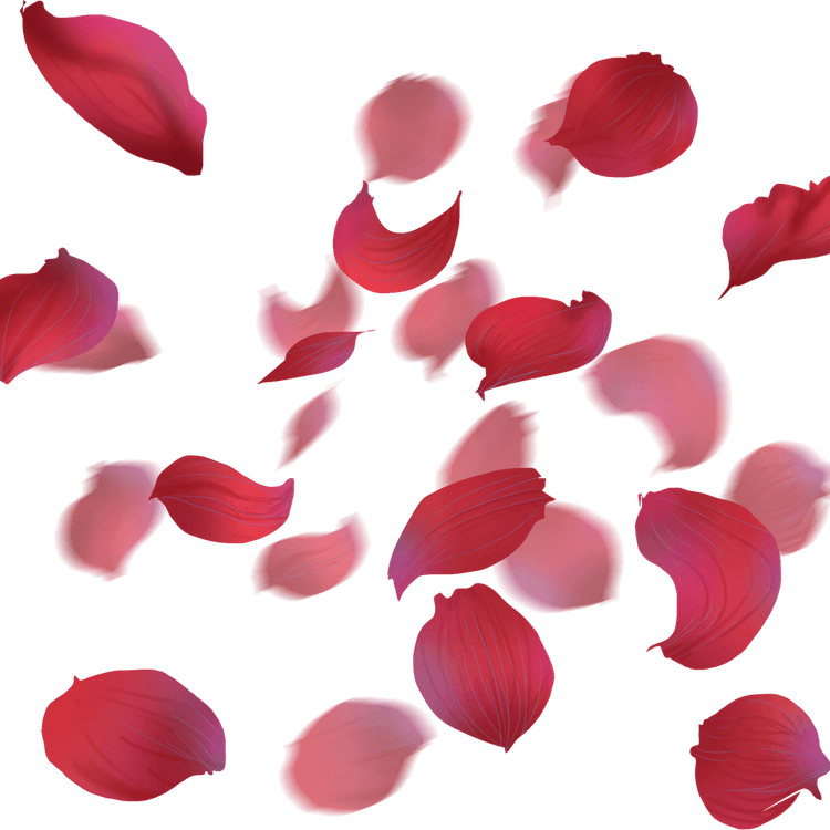 Petal PNG