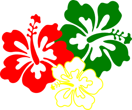 Tropical Flowers Border PNG