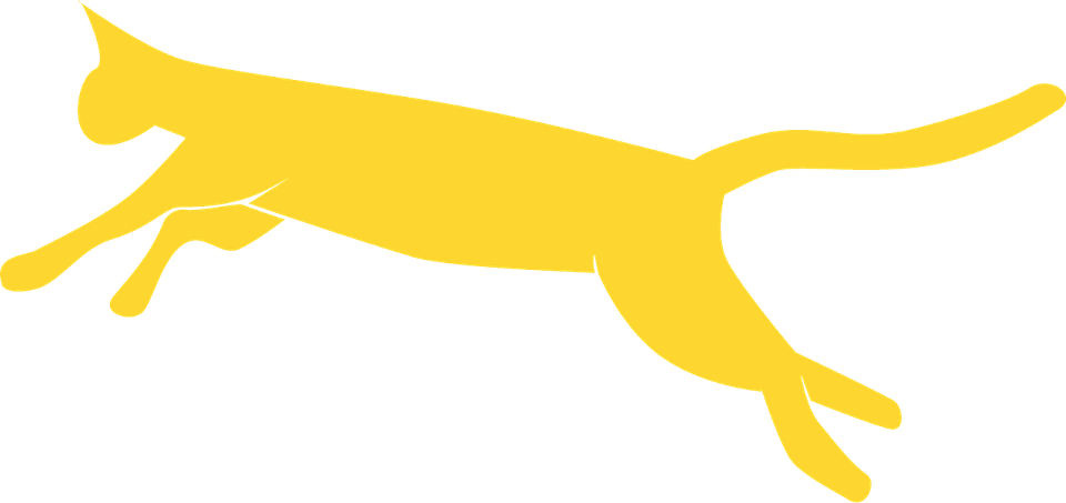 Cat Jumping PNG