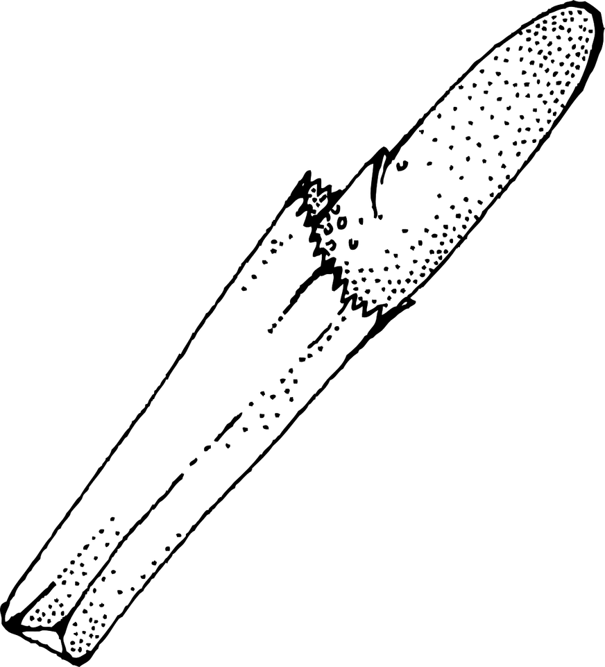 French Bread PNG