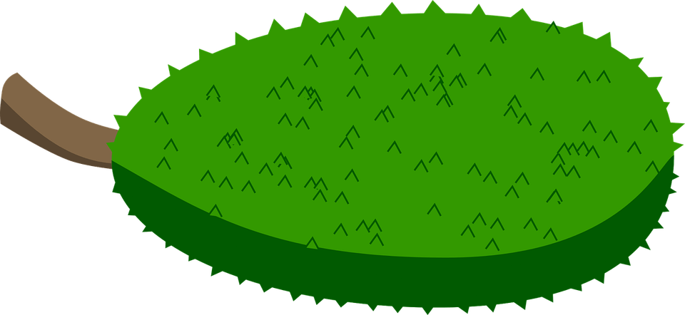 Jackfruit PNG