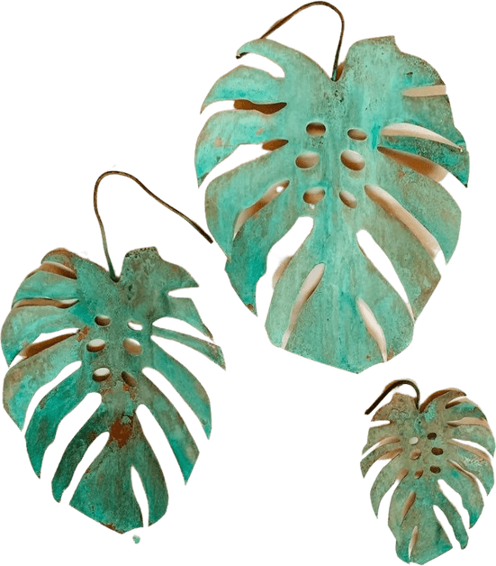 Monstera Leaf PNG