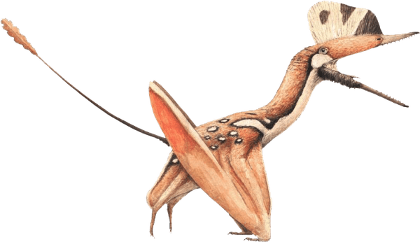 Pterosaurs PNG