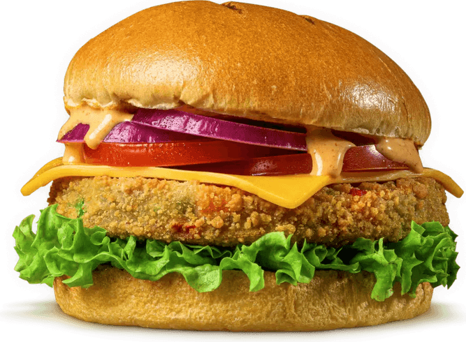 Vegetarian Burger PNG