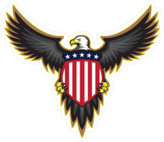 Patriot Eagle PNG
