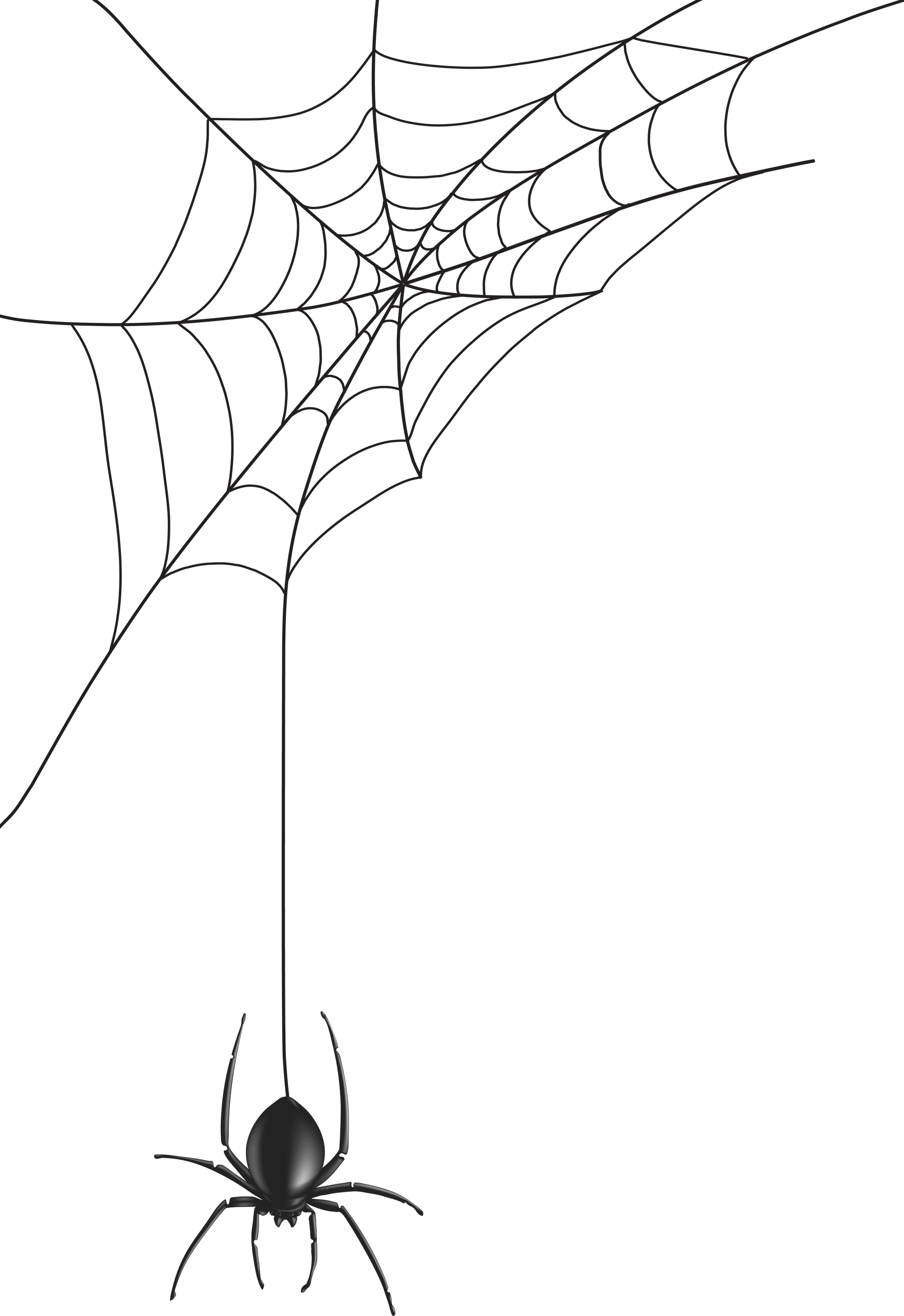 Halloween Drawings PNG