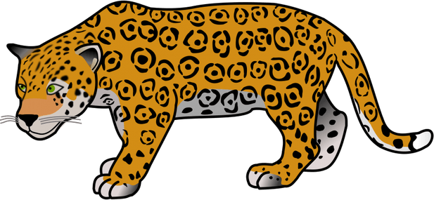 Jaguar Animal PNG