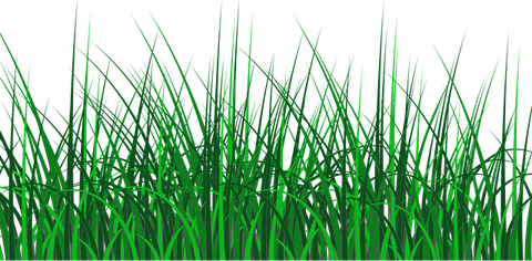 Moving Grass PNG