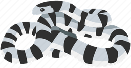 Kingsnakes PNG