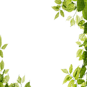 Leaves Frame PNG