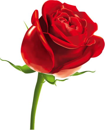 Cartoon Roses PNG