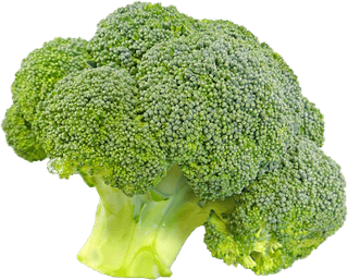 Cauliflower PNG