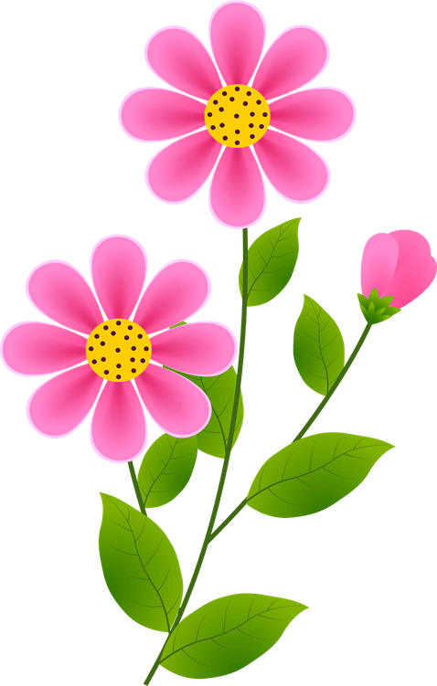 Green And Pink Flower PNG