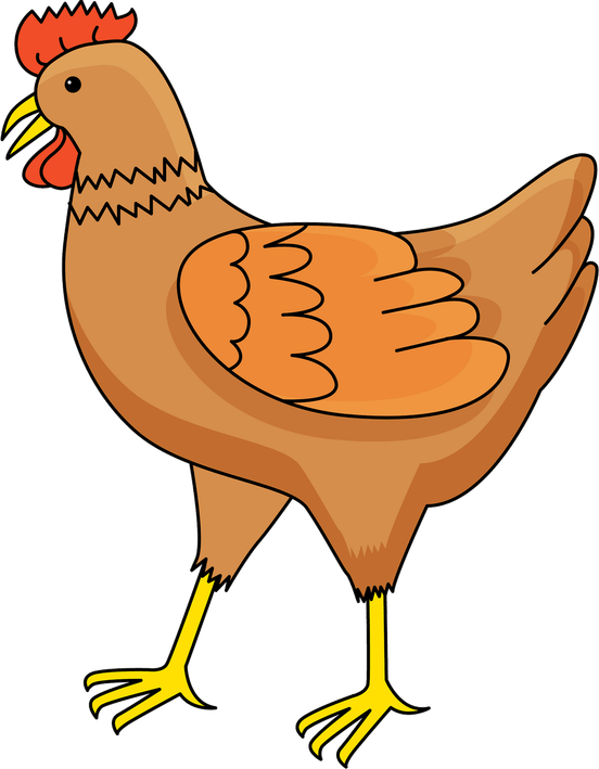 Chicken Cartoon PNG