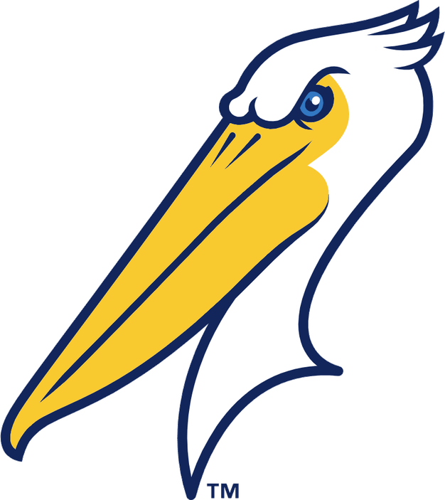 Myrtle Beach Pelicans PNG