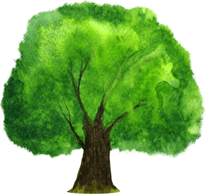 Anime Tree PNG