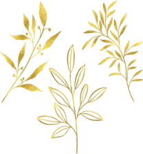 Gold Leaf PNG