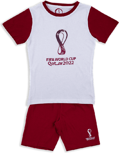 Fifa World Cup Qatar 2022 PNG