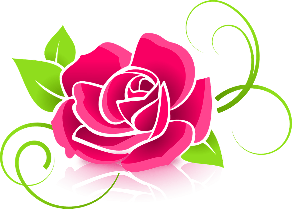 Hot Pink Flower PNG