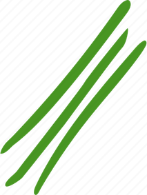 Drumstick PNG