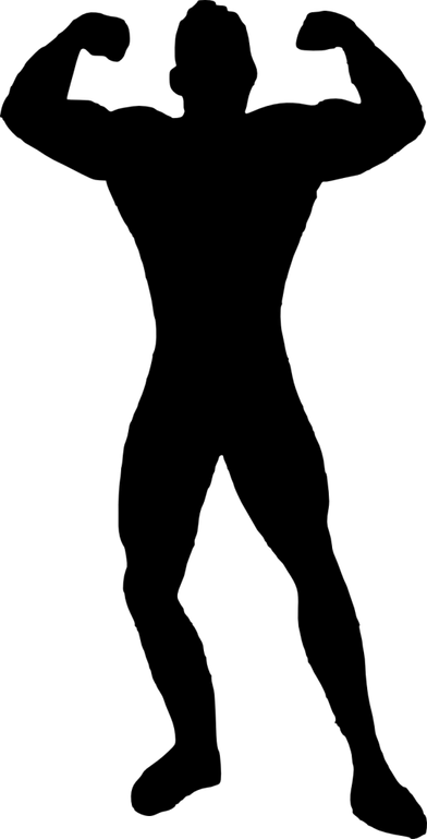 Muscle PNG