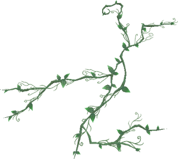 Jungle Vines PNG