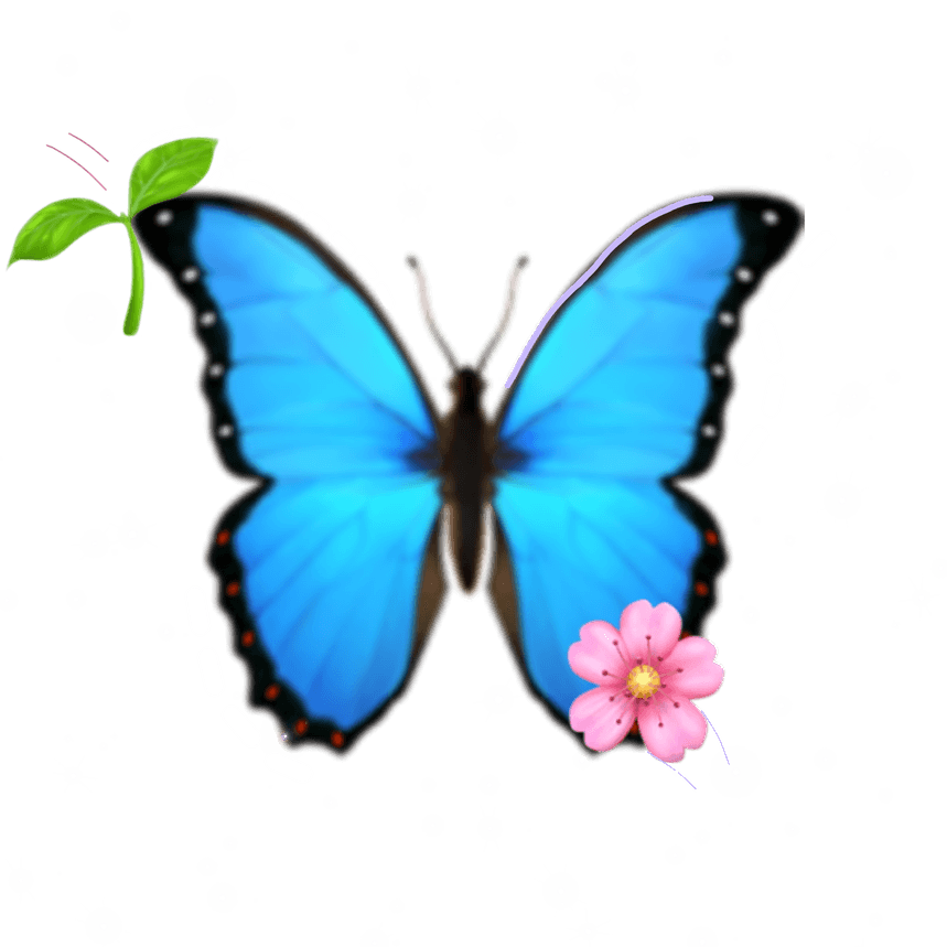Aesthetic Theme Butterfly PNG
